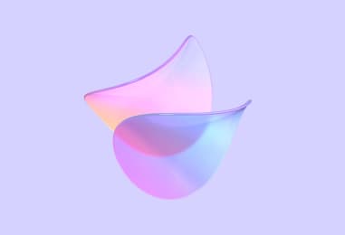 WordPress to Webflow Migration Guide